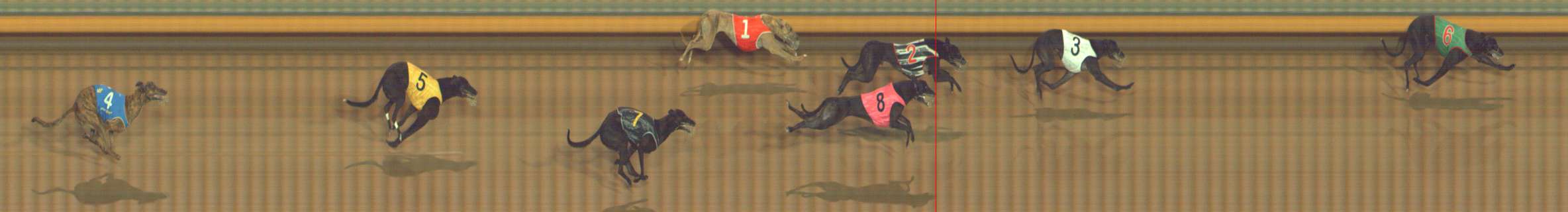 Photo finish for Bendigo Race 8
