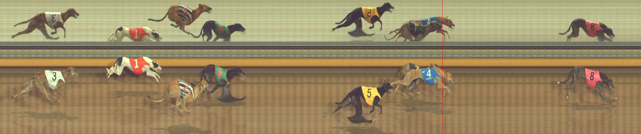 Photo finish for Bendigo Race 9