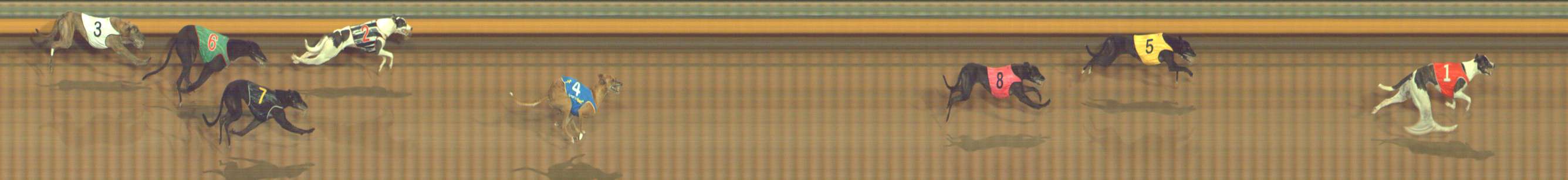 Photo finish for Bendigo Race 10