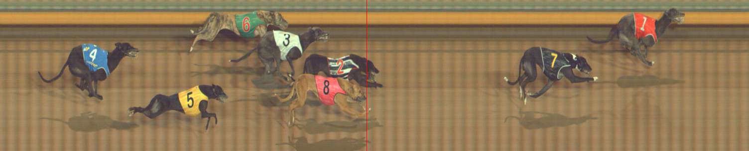 Photo finish for Bendigo Race 12