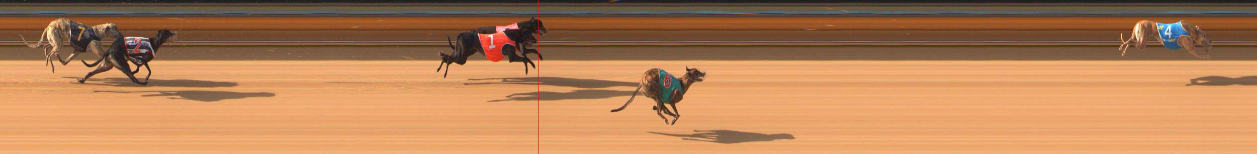 Photo finish for Bendigo Race 1