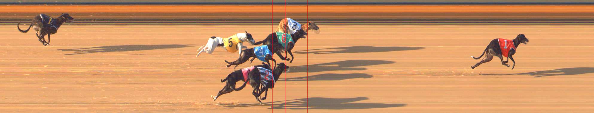 Photo finish for Bendigo Race 4