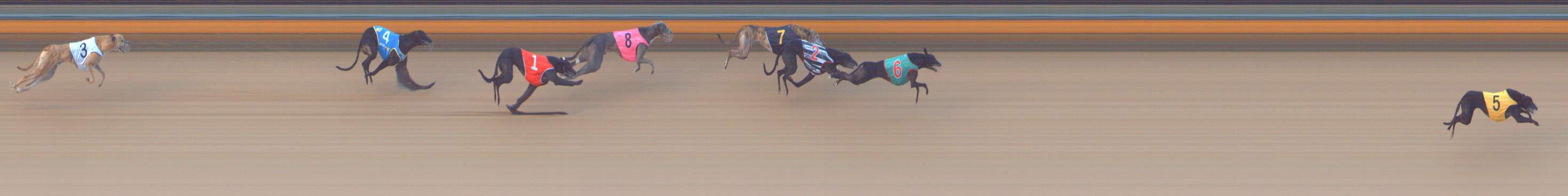 Photo finish for Bendigo Race 6