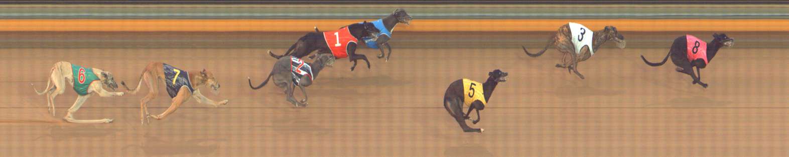 Photo finish for Bendigo Race 7
