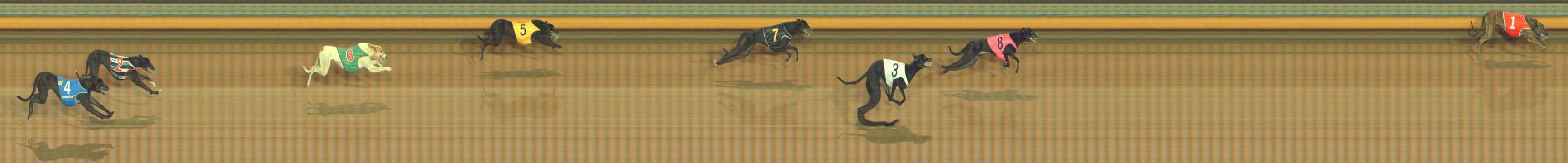 Photo finish for Bendigo Race 1