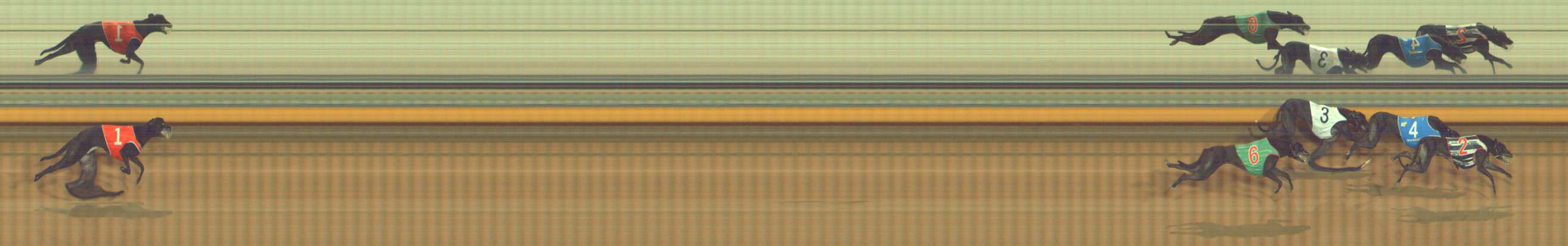 Photo finish for Bendigo Race 5