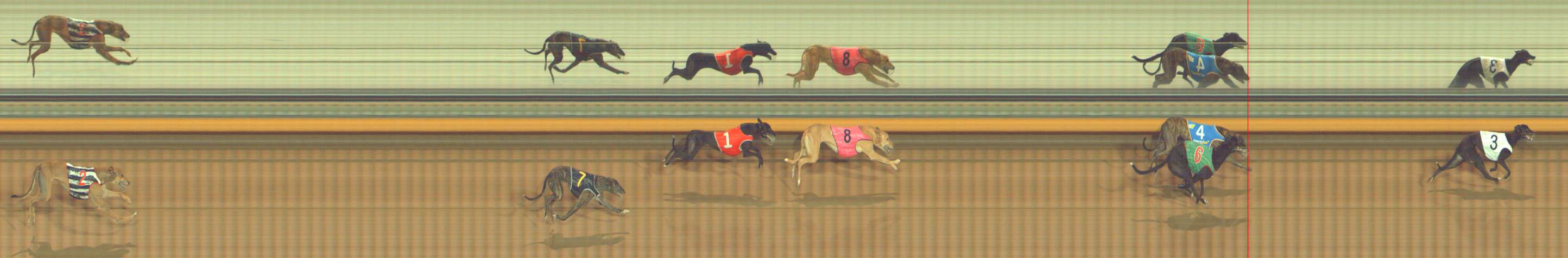 Photo finish for Bendigo Race 6
