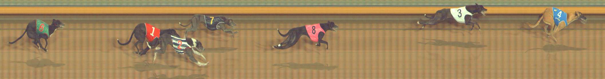 Photo finish for Bendigo Race 8