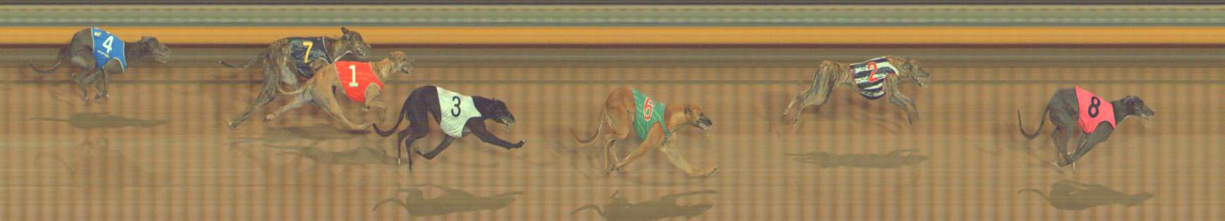 Photo finish for Bendigo Race 9