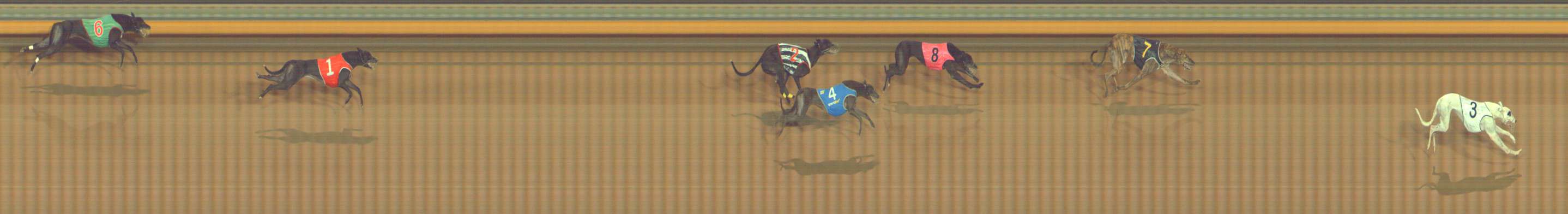 Photo finish for Bendigo Race 10