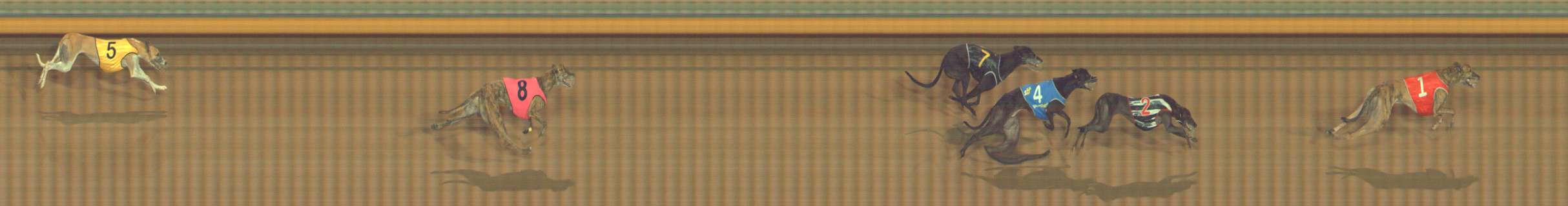 Photo finish for Bendigo Race 11