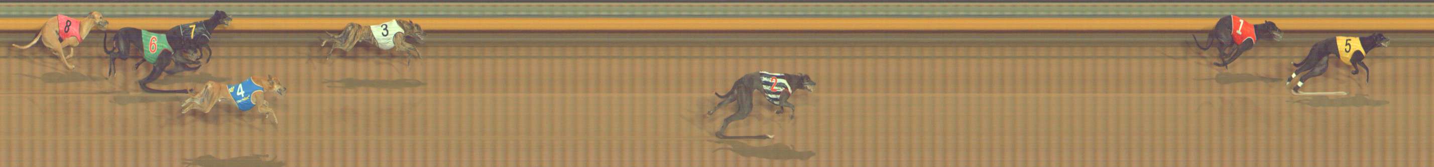 Photo finish for Bendigo Race 12