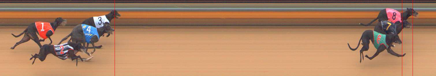 Photo finish for Bendigo Race 1
