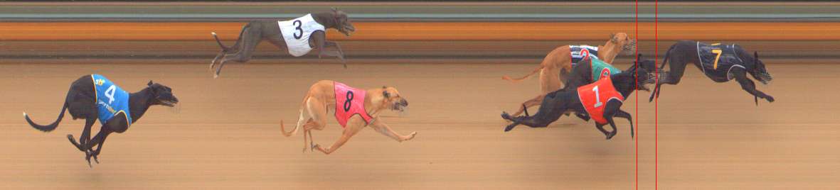 Photo finish for Bendigo Race 2