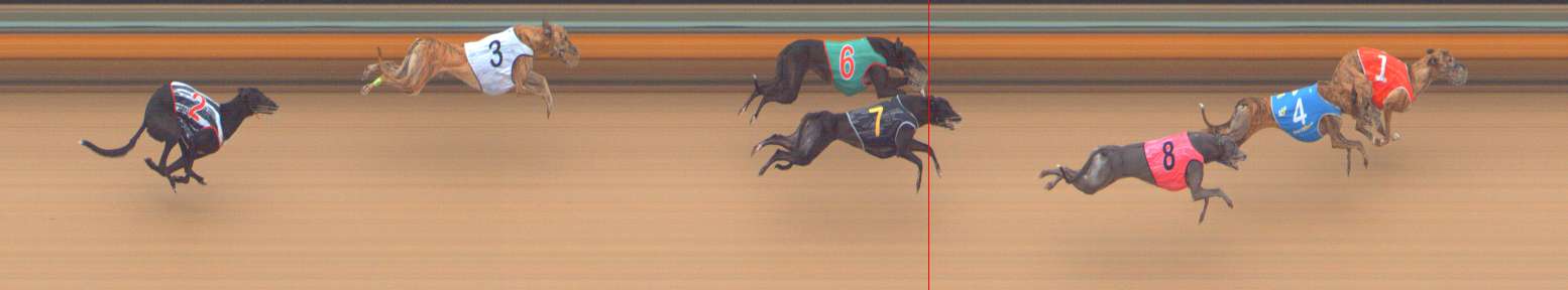 Photo finish for Bendigo Race 5