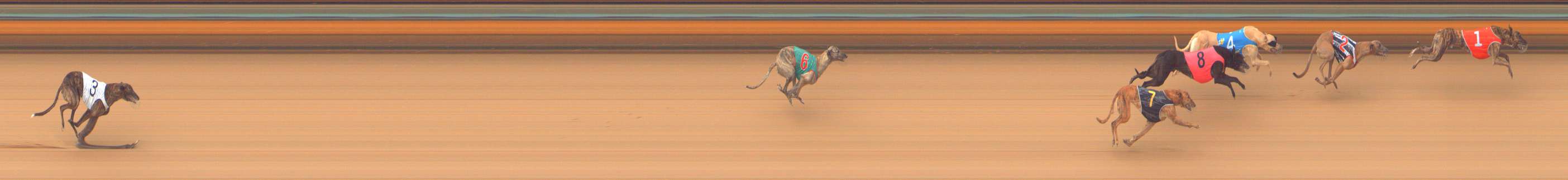 Photo finish for Bendigo Race 6