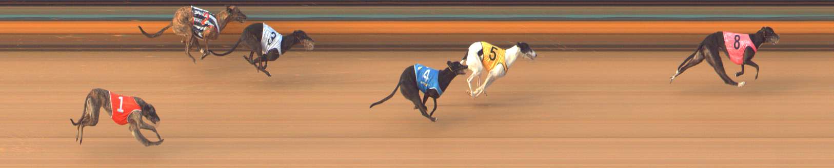 Photo finish for Bendigo Race 7