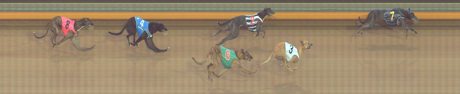 Photo finish for Bendigo Race 9