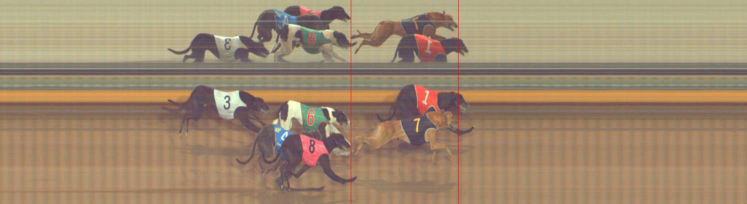 Photo finish for Bendigo Race 10