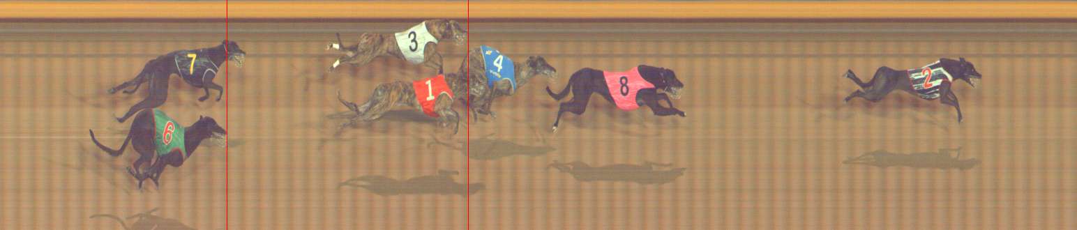 Photo finish for Bendigo Race 11