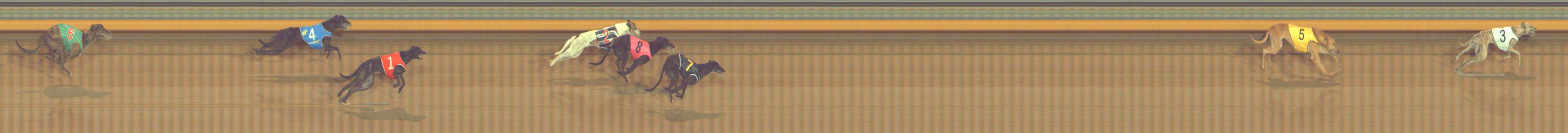 Photo finish for Bendigo Race 12