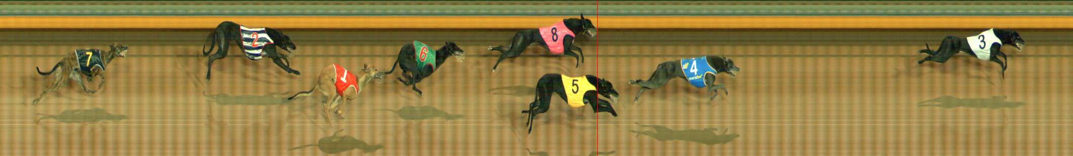 Photo finish for Bendigo Race 1