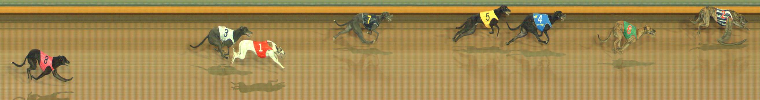 Photo finish for Bendigo Race 2