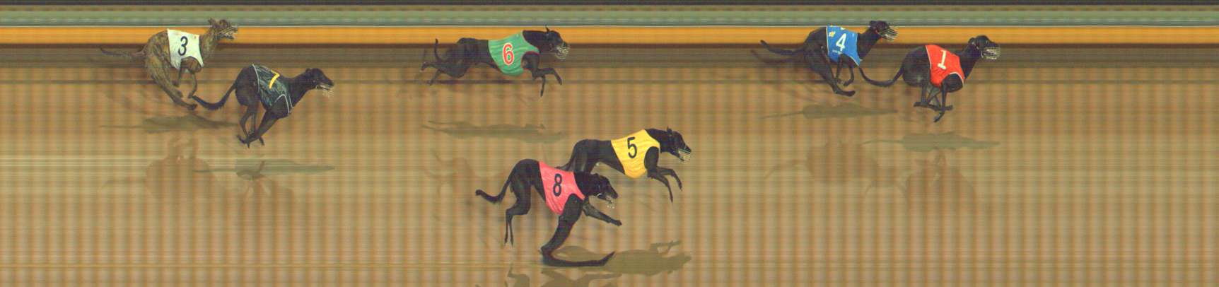 Photo finish for Bendigo Race 3