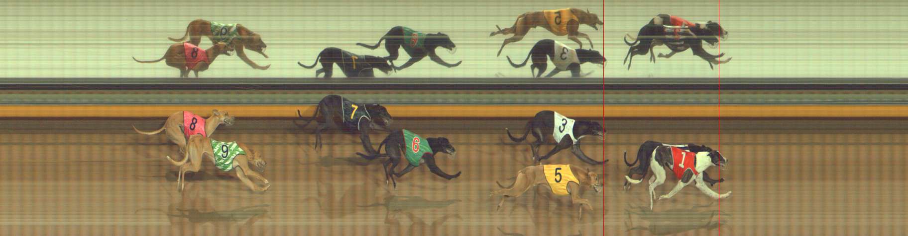 Photo finish for Bendigo Race 4