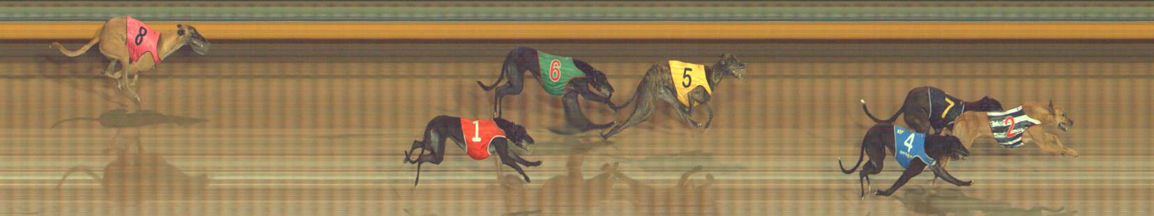 Photo finish for Bendigo Race 5