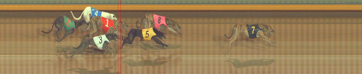 Photo finish for Bendigo Race 6