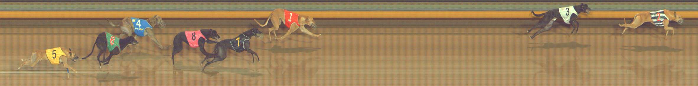 Photo finish for Bendigo Race 8