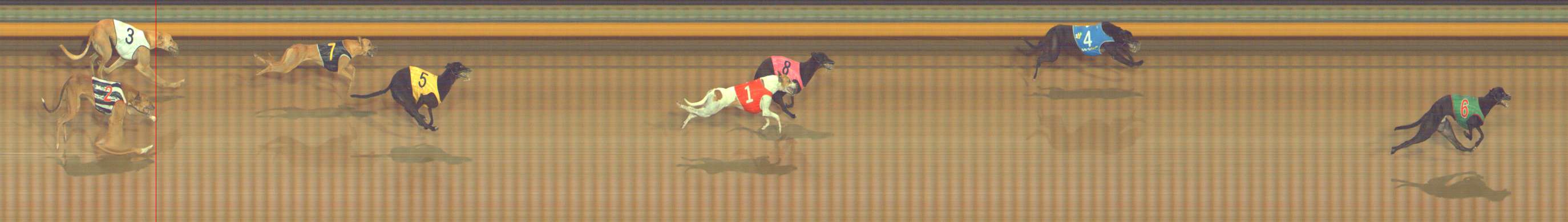 Photo finish for Bendigo Race 11