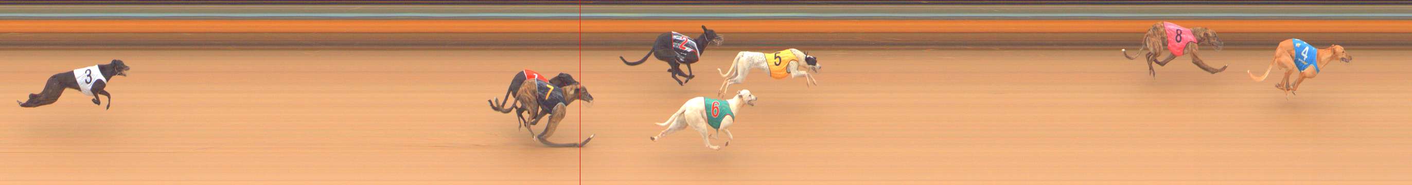 Photo finish for Bendigo Race 1