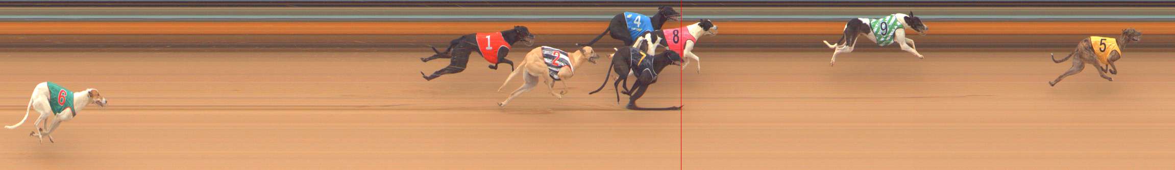 Photo finish for Bendigo Race 2
