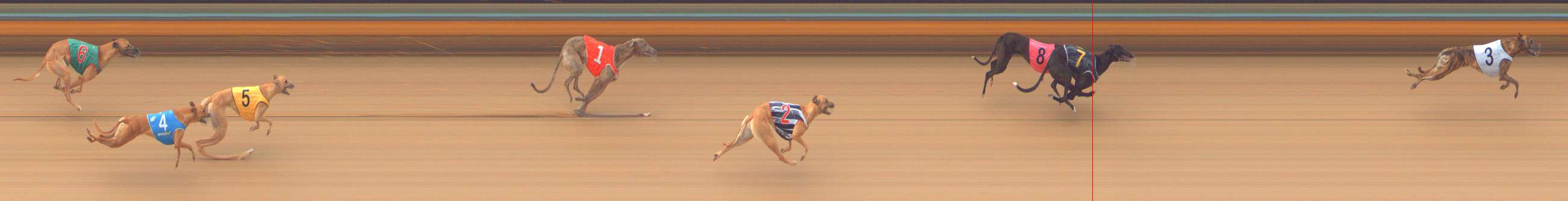 Photo finish for Bendigo Race 5