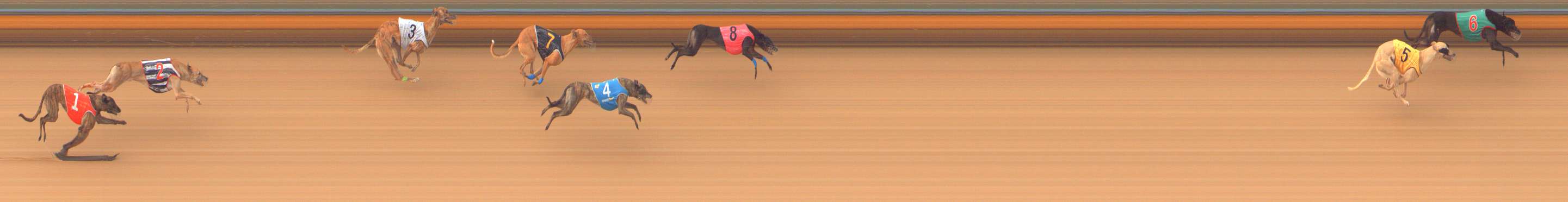 Photo finish for Bendigo Race 6