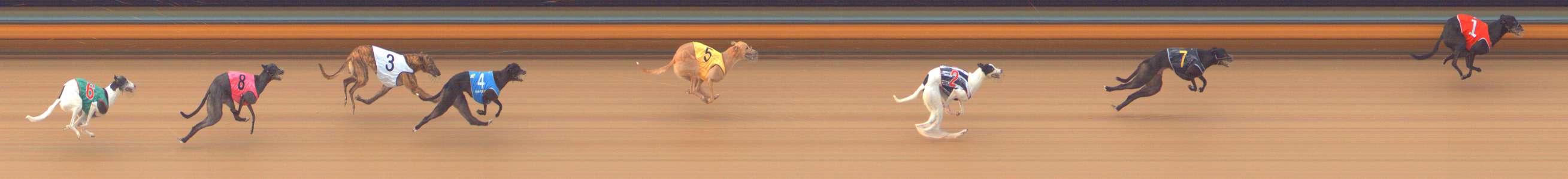 Photo finish for Bendigo Race 7