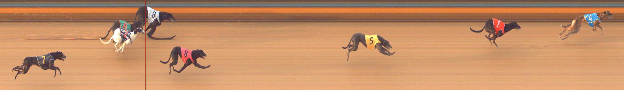 Photo finish for Bendigo Race 8
