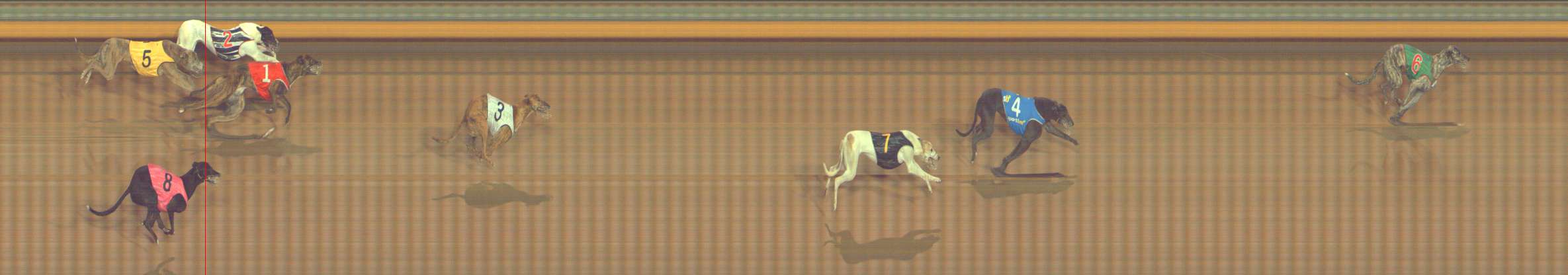 Photo finish for Bendigo Race 11