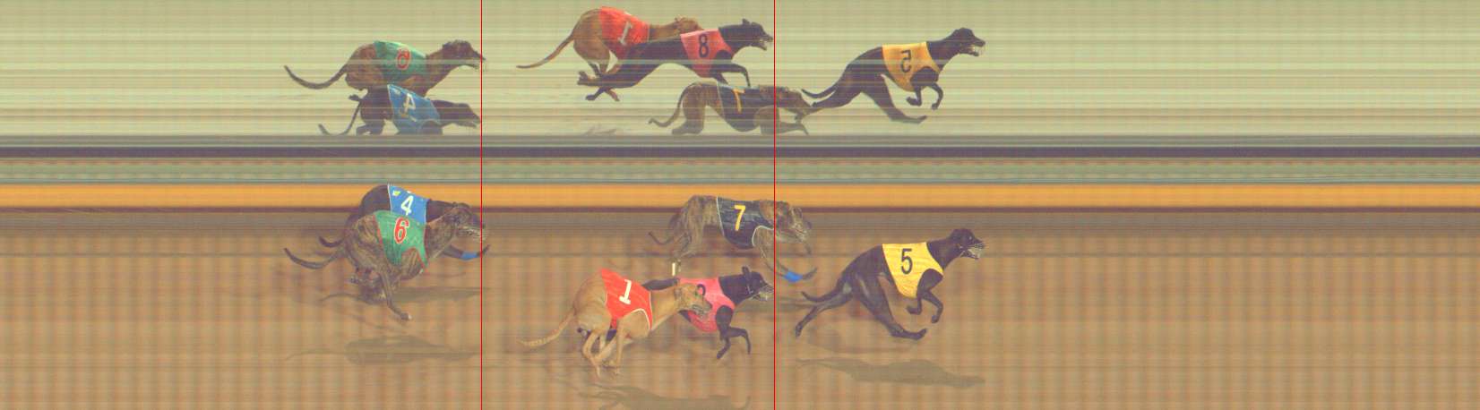 Photo finish for Bendigo Race 13