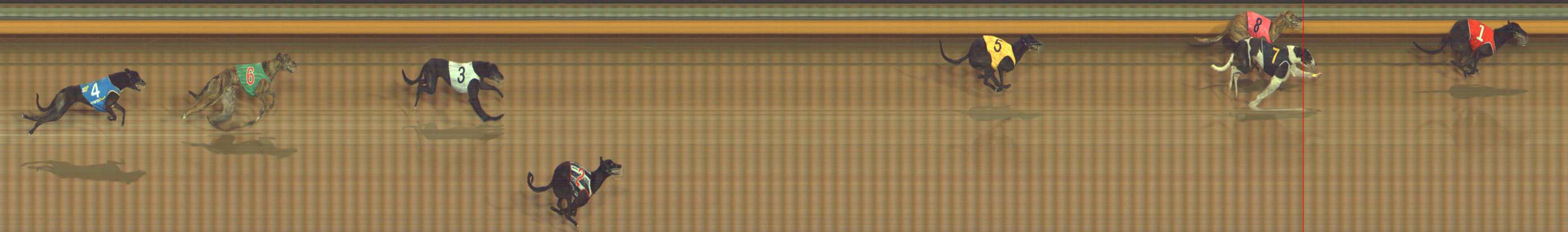 Photo finish for Bendigo Race 5