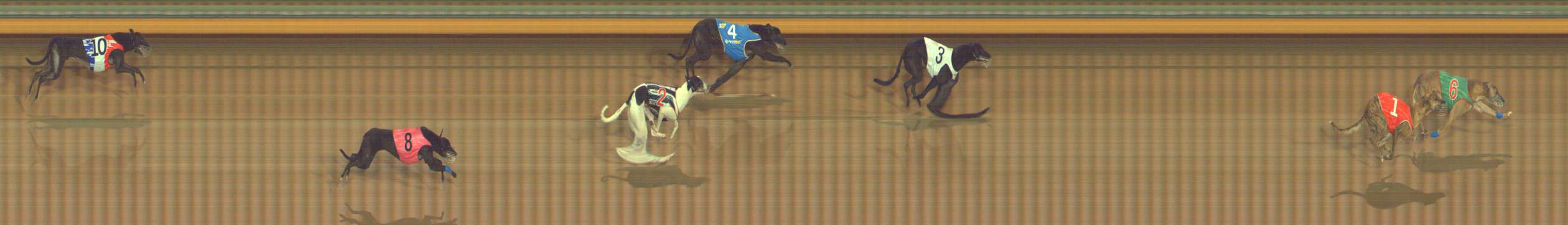 Photo finish for Bendigo Race 6