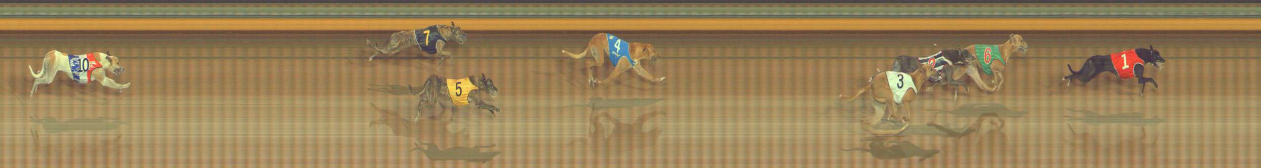 Photo finish for Bendigo Race 7