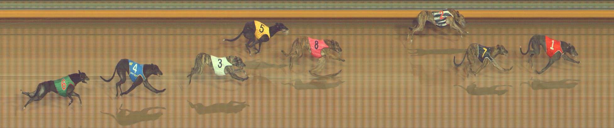 Photo finish for Bendigo Race 8