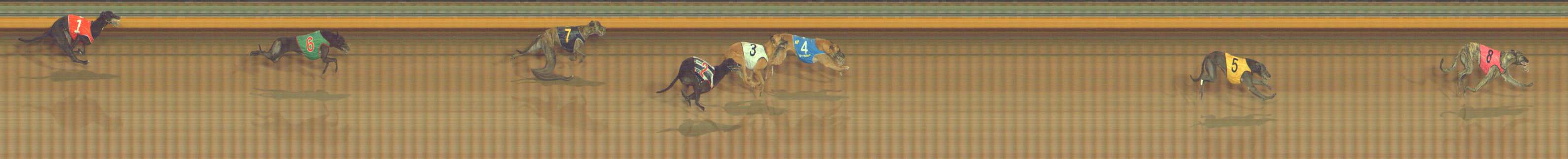 Photo finish for Bendigo Race 9