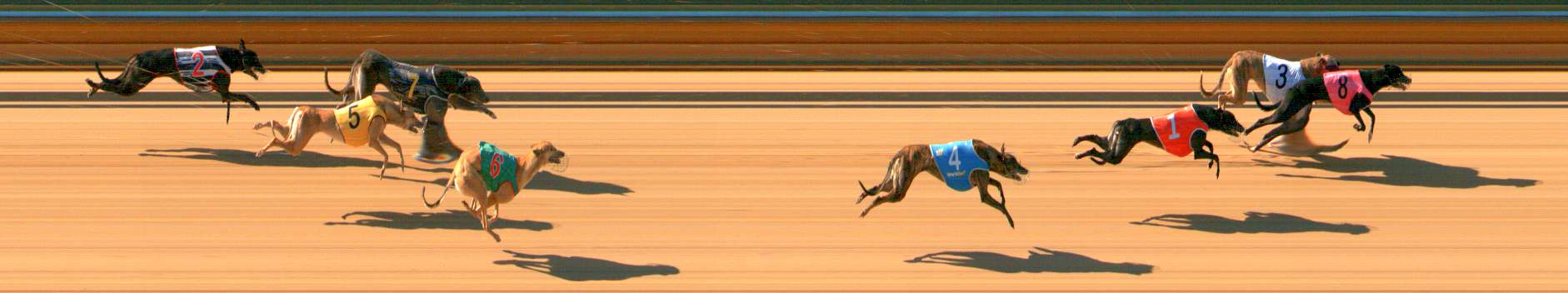 Photo finish for Bendigo Race 1