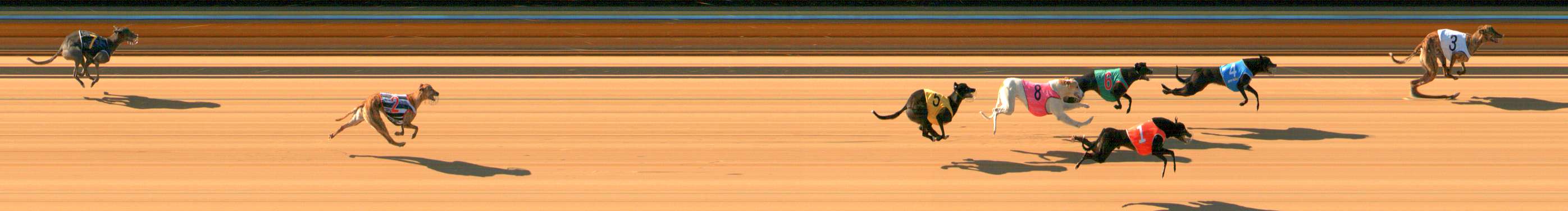 Photo finish for Bendigo Race 2