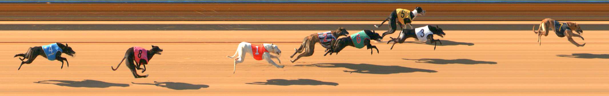 Photo finish for Bendigo Race 3