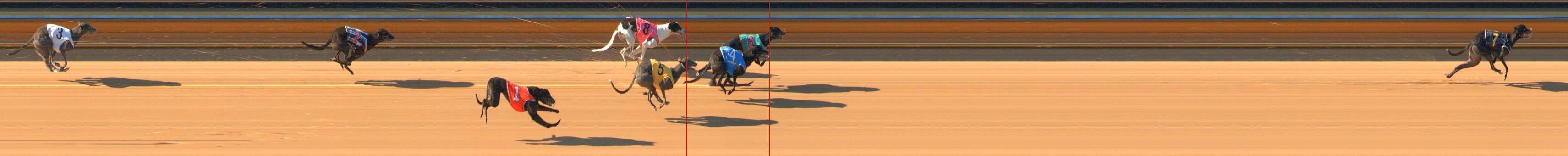 Photo finish for Bendigo Race 4